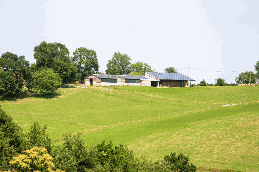 Elevage de chèvre en france