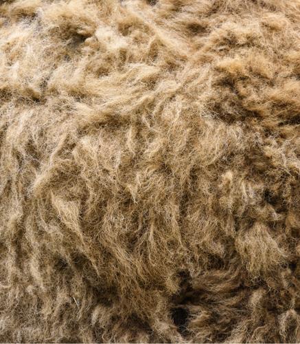 La laine de yack chaude et isolante