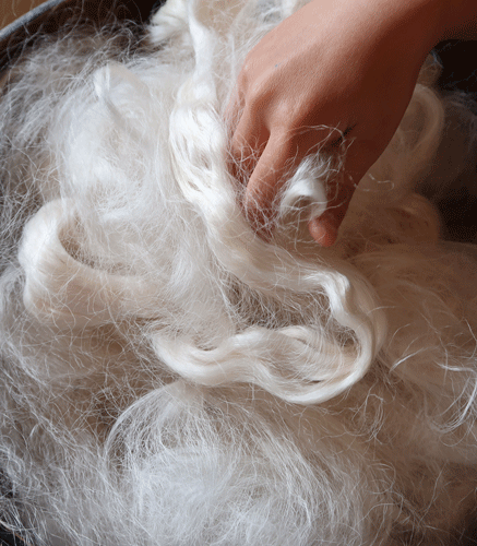 La soie une fibre naturelle et légère