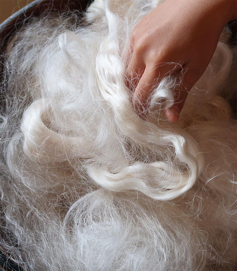 La soie une fibre délicate et luxueuse