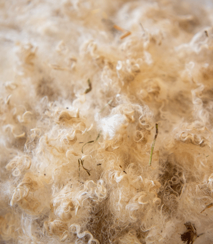 Coussins chutes de mohair fabriqués en France