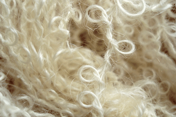 Le mohair des Pyrénées une laine durable