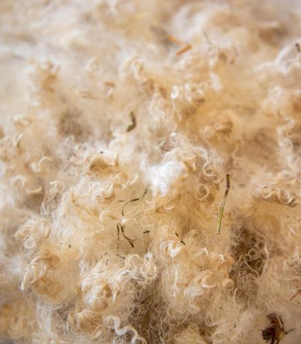 Coussins rembourrés en laine mohair