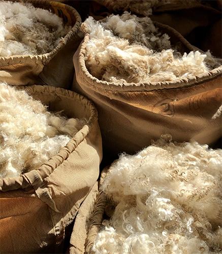 Le mohair une fibre naturelle douce et légère