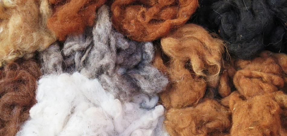 Pull en laine douce