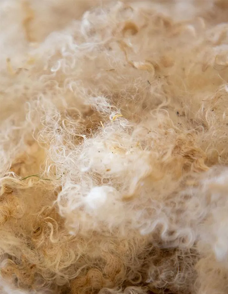 Le mohair une fibre naturelle d'exeption