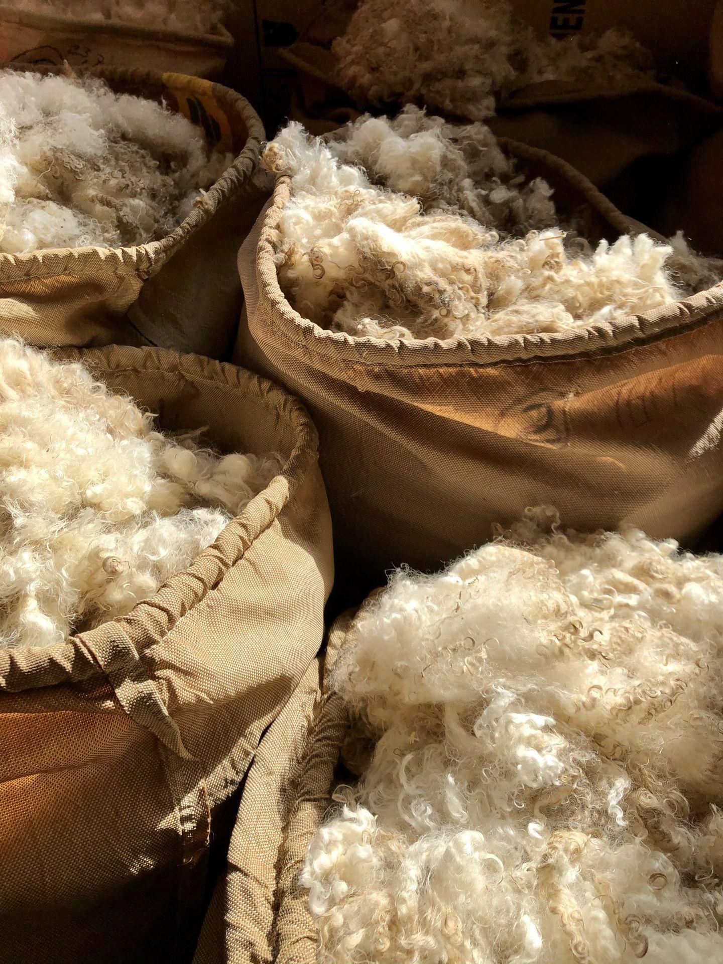 La laine mohair une laine chaude et vaporeuse