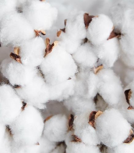 Sous-vêtements en laine soie et coton