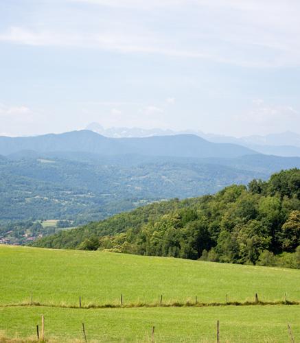 élevage de chèvres mohair dans les Pyrénées ariégeois