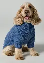Vêtement en laine pour chien