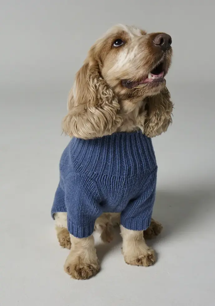 Manteau bien chaud en laine pour chien