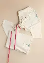 Pack t-shirt manches courtes coton bio maille grattée molletonnée