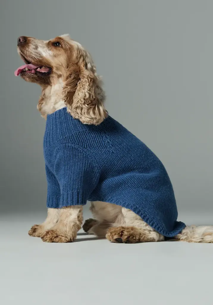 Manteau en laine pour chien