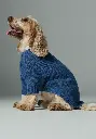 Manteau en laine pour chien
